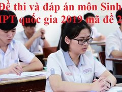 Post cover 1099932