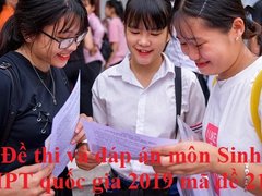 Post cover 1099936