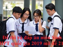 Post cover 1099956