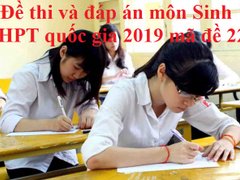 Post cover 1099942
