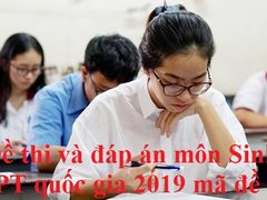Post cover 1099945