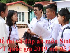 Post cover 1099949
