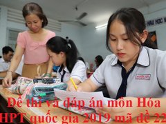 Post cover 1100094