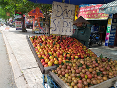 Post cover 1100424