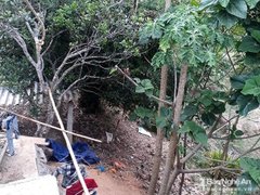 Post cover 1100759