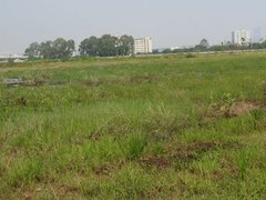 Post cover 1100772