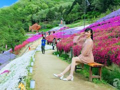 Post cover 1101242