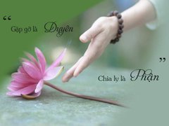 Post cover 1101512
