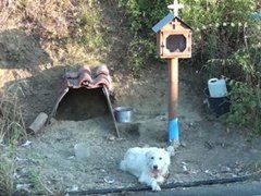 Post cover 1103817