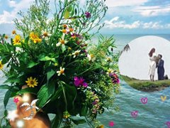 Post cover 1104218