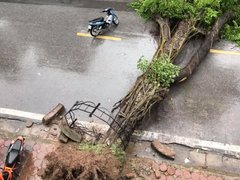 Post cover 1104318