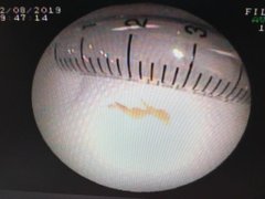 Post cover 1104384
