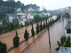Post cover 1104641