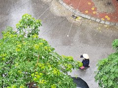 Post cover 1104771
