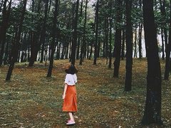 Post cover 1105562