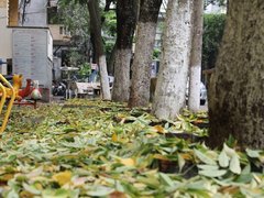 Post cover 1105641