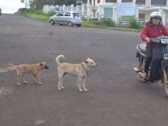 Post cover 1105737