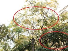 Post cover 1105669