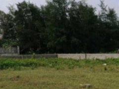 Post cover 1105881