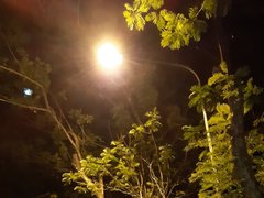 Post cover 1106604