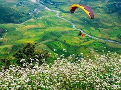 Post cover 1106662