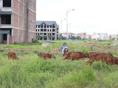 Post cover 1106958