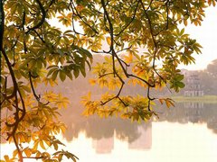 Post cover 1106978