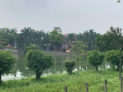 Post cover 1108546