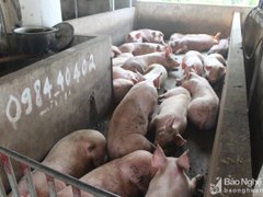 Đọc nhanh bài viết 1107495