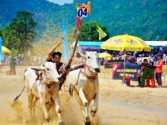Post cover 1107677