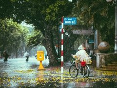 Post cover 1107722