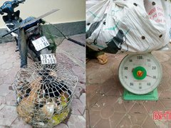 Đọc nhanh bài viết 1107741