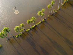 Post cover 1107831