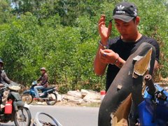 Post cover 1108517