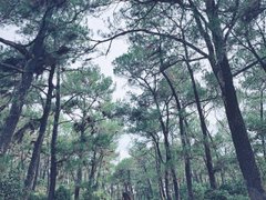 Post cover 1108539
