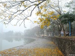 Post cover 1108878