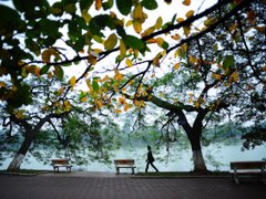 Post cover 1108892
