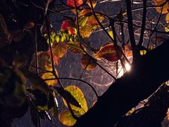 Post cover 1109009