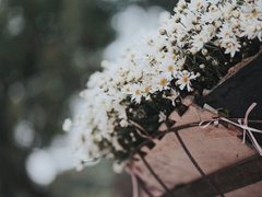 Post cover 1109729