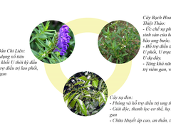 Post cover 1109876