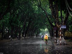 Post cover 1110077