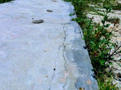 Post cover 1110341