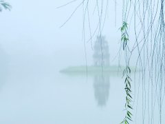 Post cover 1110708