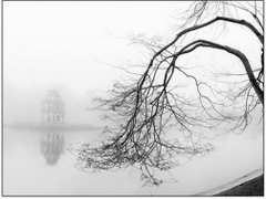 Post cover 1111733