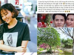 Post cover 1116175