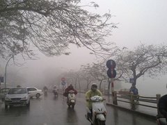 Post cover 1130092