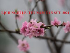 Post cover 1136729