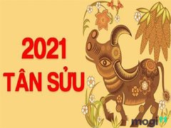 Post cover 1138592