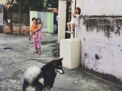 Post cover 1142497