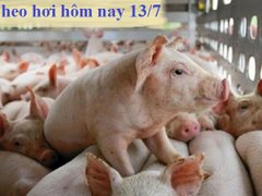 Post cover 1146850